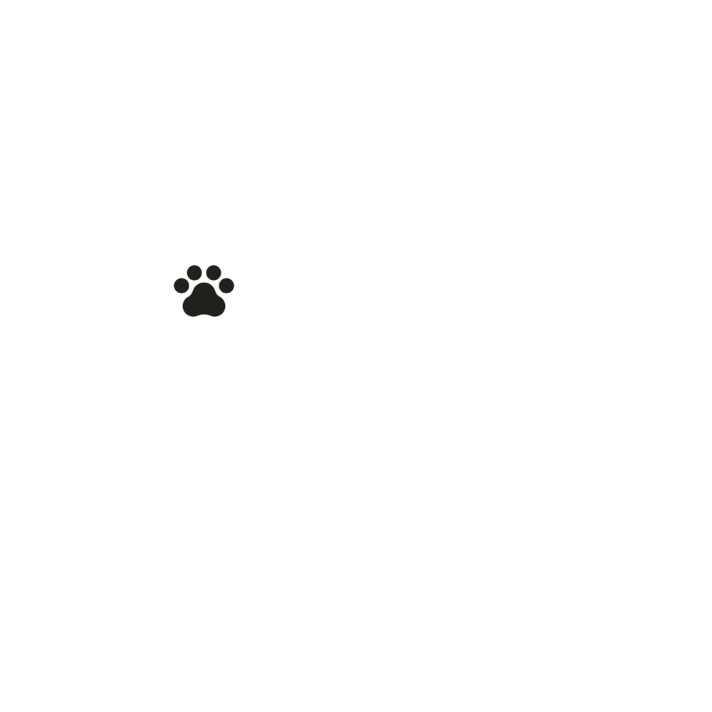 dogtrex.com premium domain logo